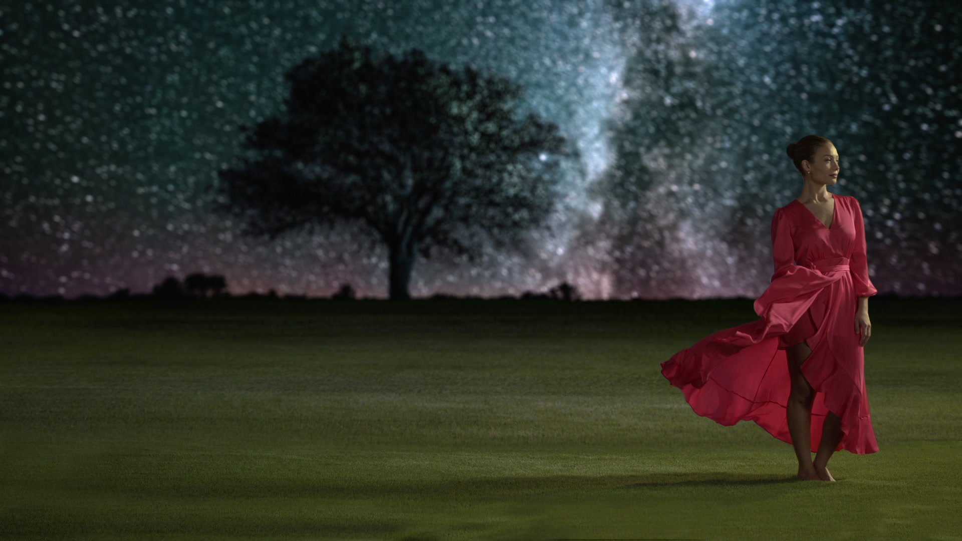 Toronto Video Production Commercial Ad Marketing Creative Dogs Artificial Grass Bluescreen Warehouse Actor Set