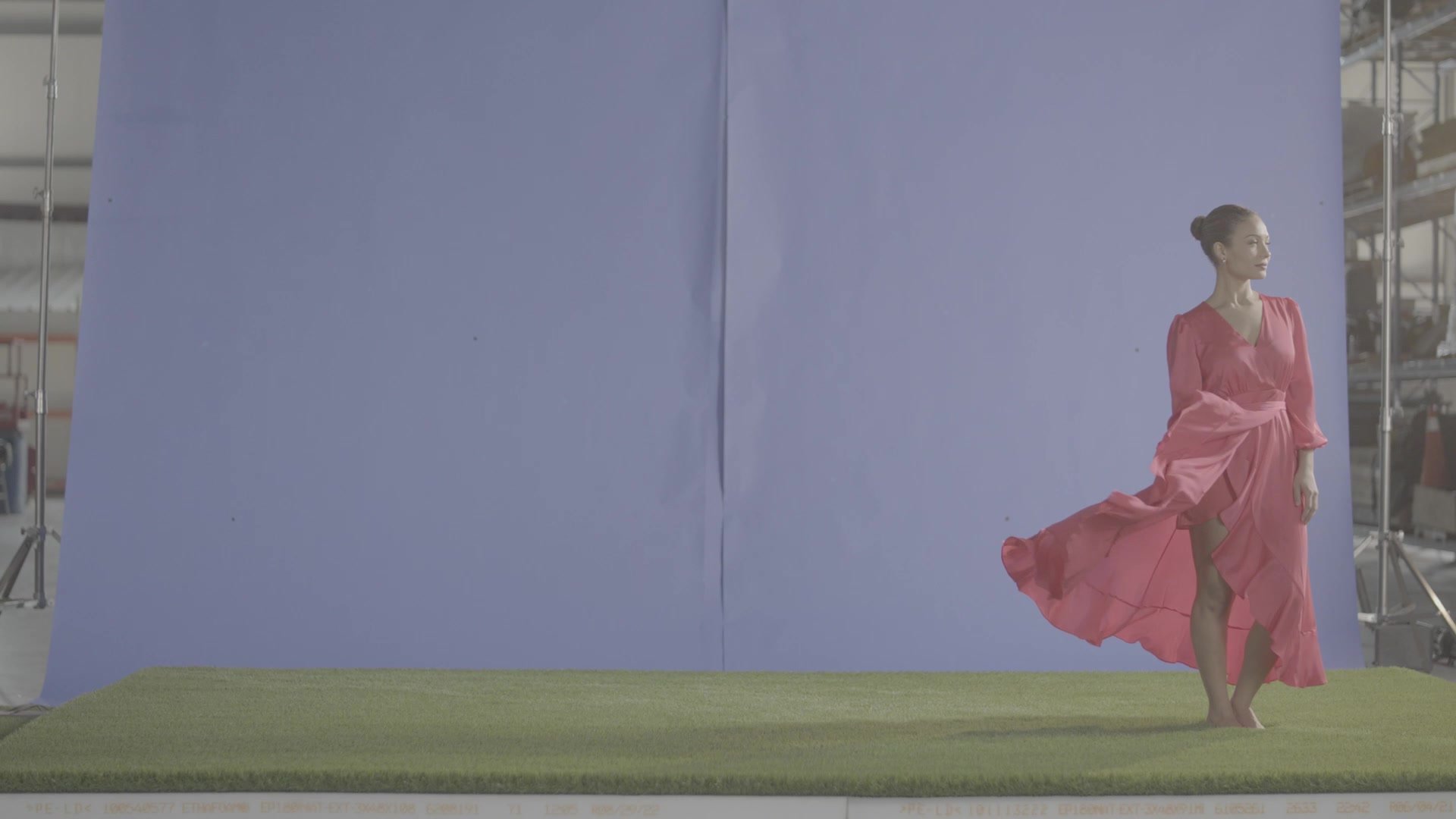 Toronto Video Production Commercial Ad Marketing Creative Dogs Artificial Grass Bluescreen Warehouse Actor Set