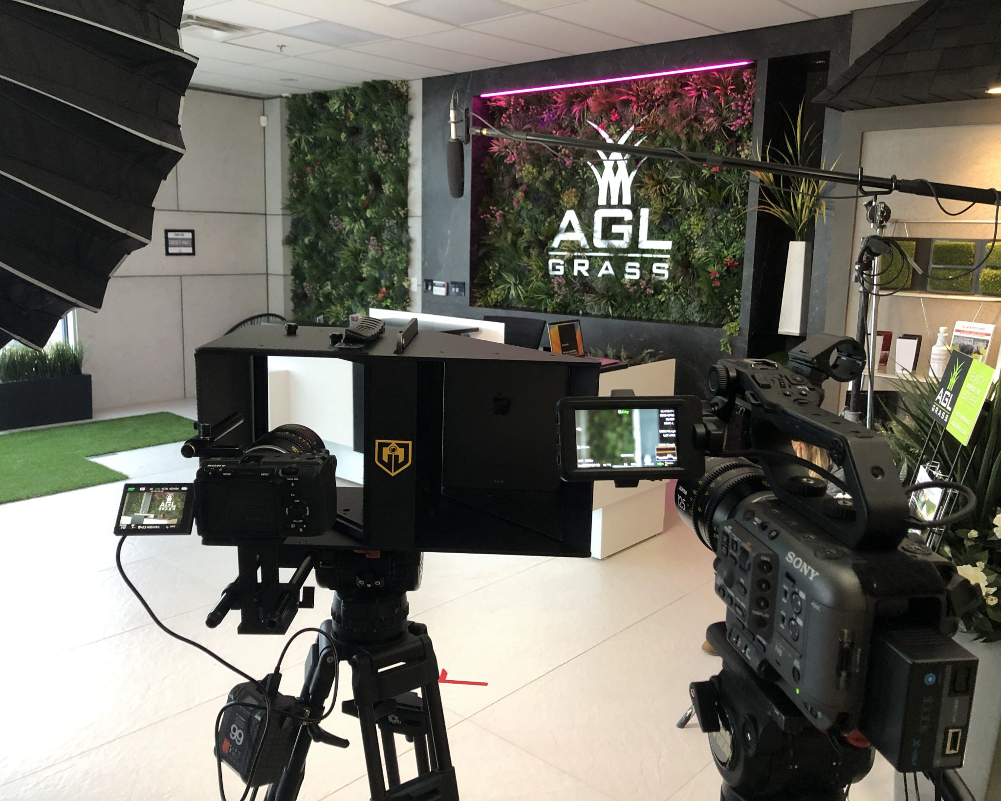 Toronto Video Production Commercial Ad Marketing Creative Dogs Artificial Grass Bluescreen Warehouse Actor Set