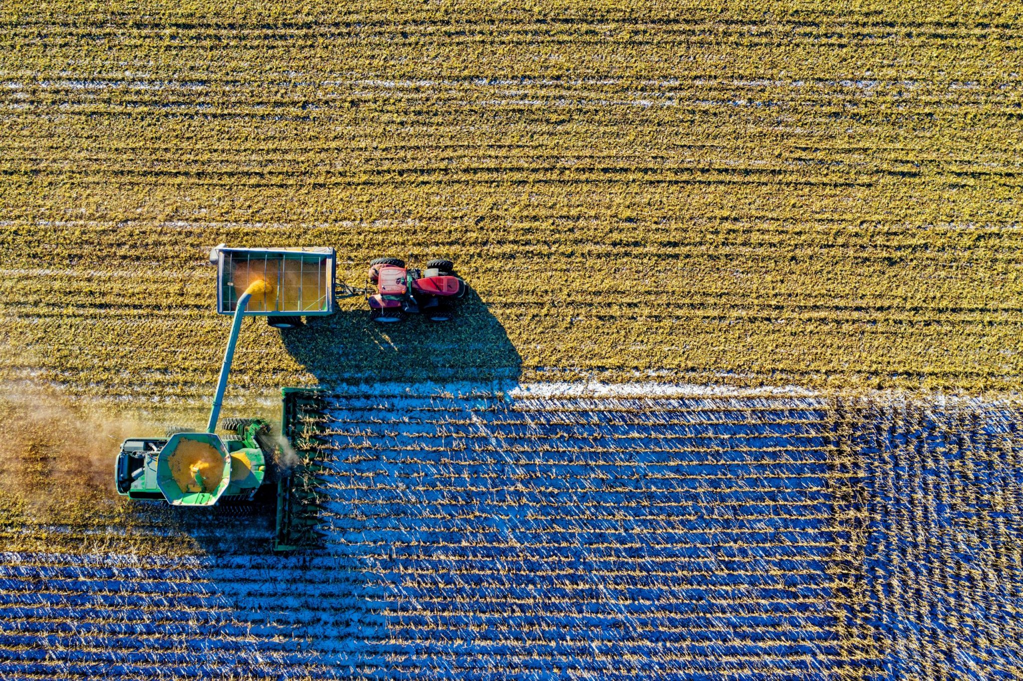7 Lessons Your Business Should Learn From Farming