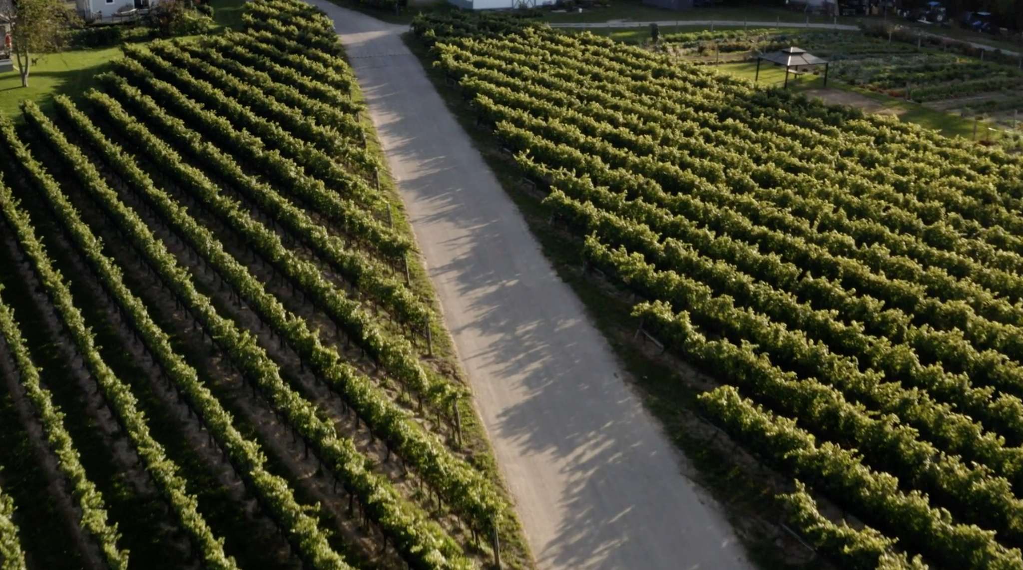 5 Scenic Road Trips From Toronto on a Tank of Gas or Less