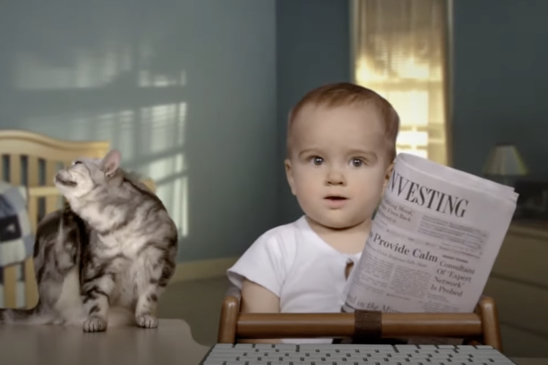 kitten cat commercials Toronto video production