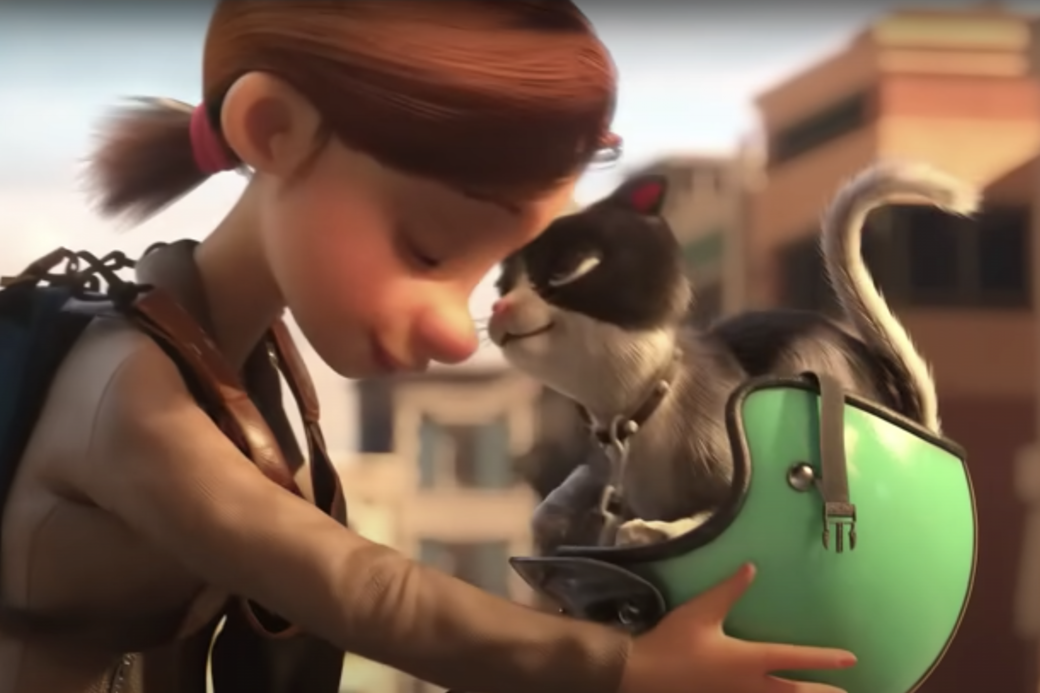 kitten cat commercials Toronto video production