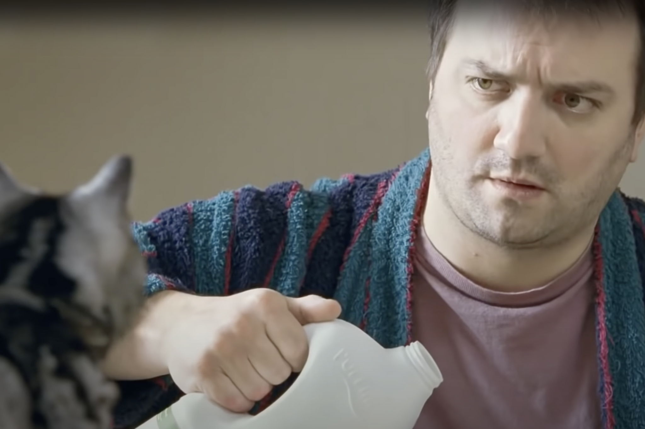 kitten cat commercials Toronto video production