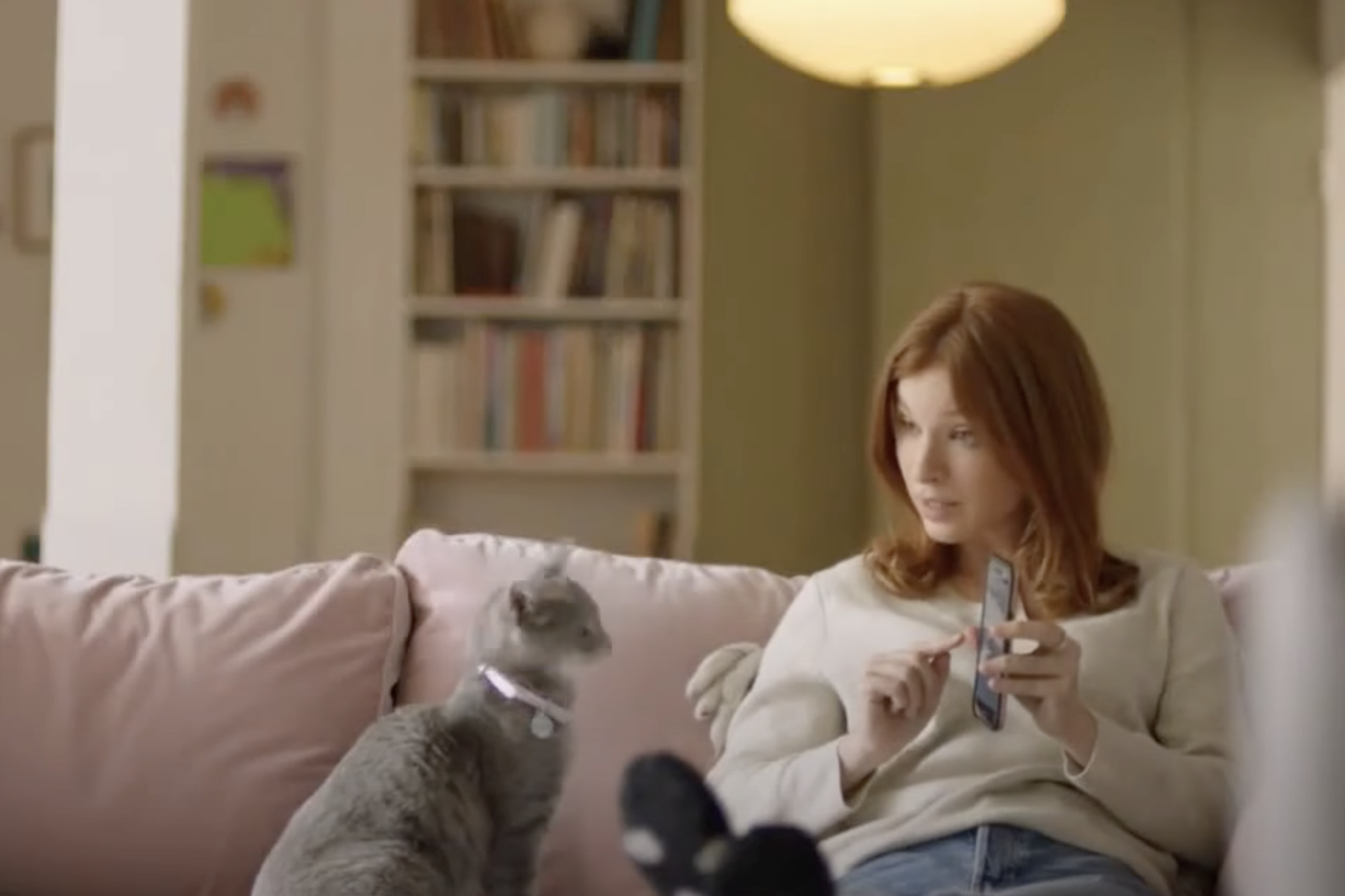 kitten cat commercials Toronto video production